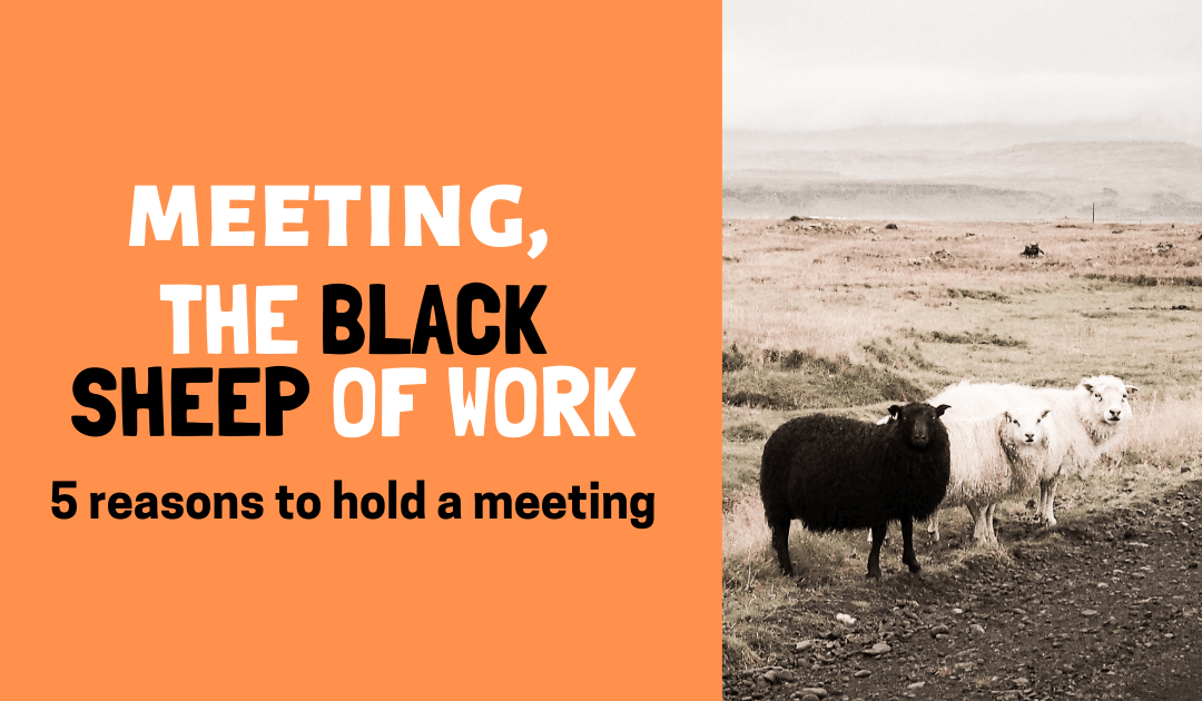 5 reasons to hold a meeting – Meeting, the Black Sheep of Work