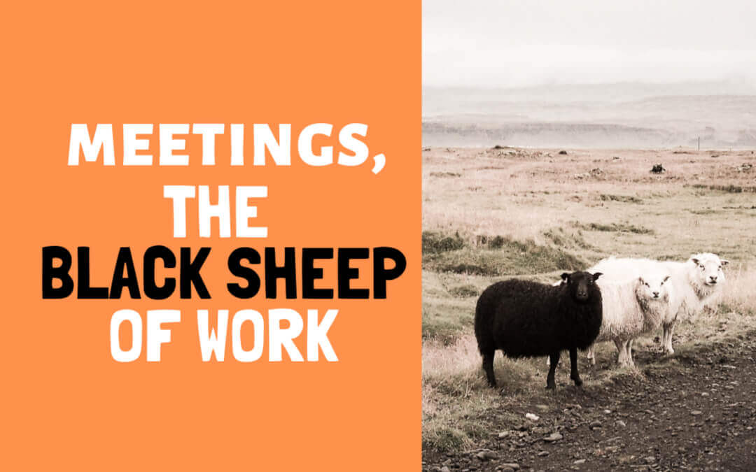 Meetings: the black sheep of work – 3 reasons to hold a meeting